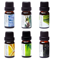 Essential Oils by PURE AROMA 100% Pure Therapeutic Grade Oils Kit- Top 6 Aromatherapy Oils Gift Set-6 Pack, 10Ml(Eucalyptus, Lavender, Lemon Grass, O