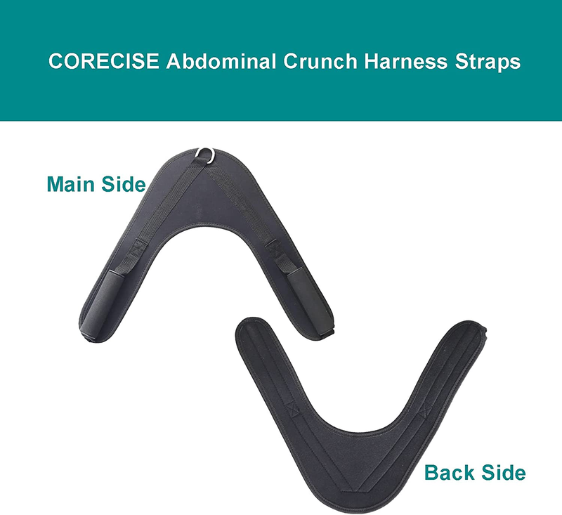 Abdominal Crunch Harness Straps,Back Exercise Pulling Harness Shoulder Strap, V-Shape Crunch Belt,Abdominal Crunch Straps Belt Attachment for Cable 